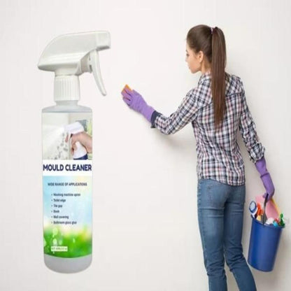 MoldAway Magic Foam Spray